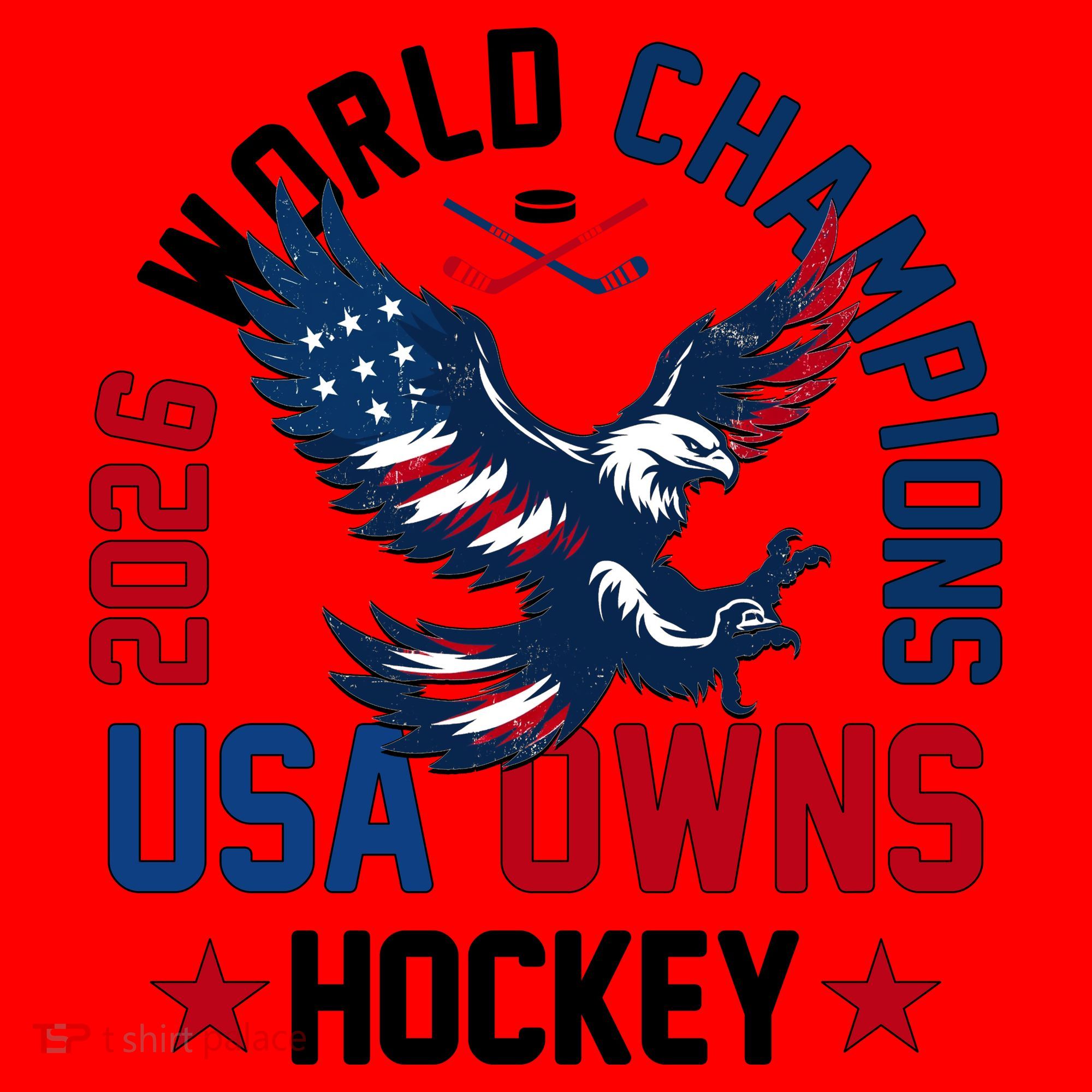 2026 World Champions USA Owns Hockey Santa Hat