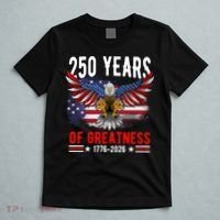 250 Years America Patriotic USA Flag 250th Anniversary 1776 2026 T-Shirt thumb 5