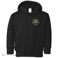 250 Years American 250th Anniversary Front And Back  Toddler Hoodie thumb 0