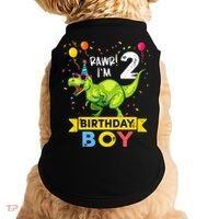 2 Year Old 2nd Birthday Boy T Rex Dinosaur T Doggie Tank thumb 0