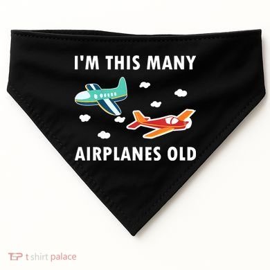 2 Years Old Airplanes Old 2nd Birthday USA-Made Doggie Bandana