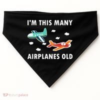 2 Years Old Airplanes Old 2nd Birthday USA-Made Doggie Bandana thumb 0