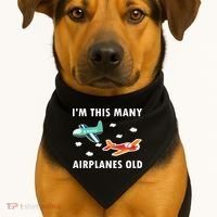 2 Years Old Airplanes Old 2nd Birthday USA-Made Doggie Bandana thumb 1