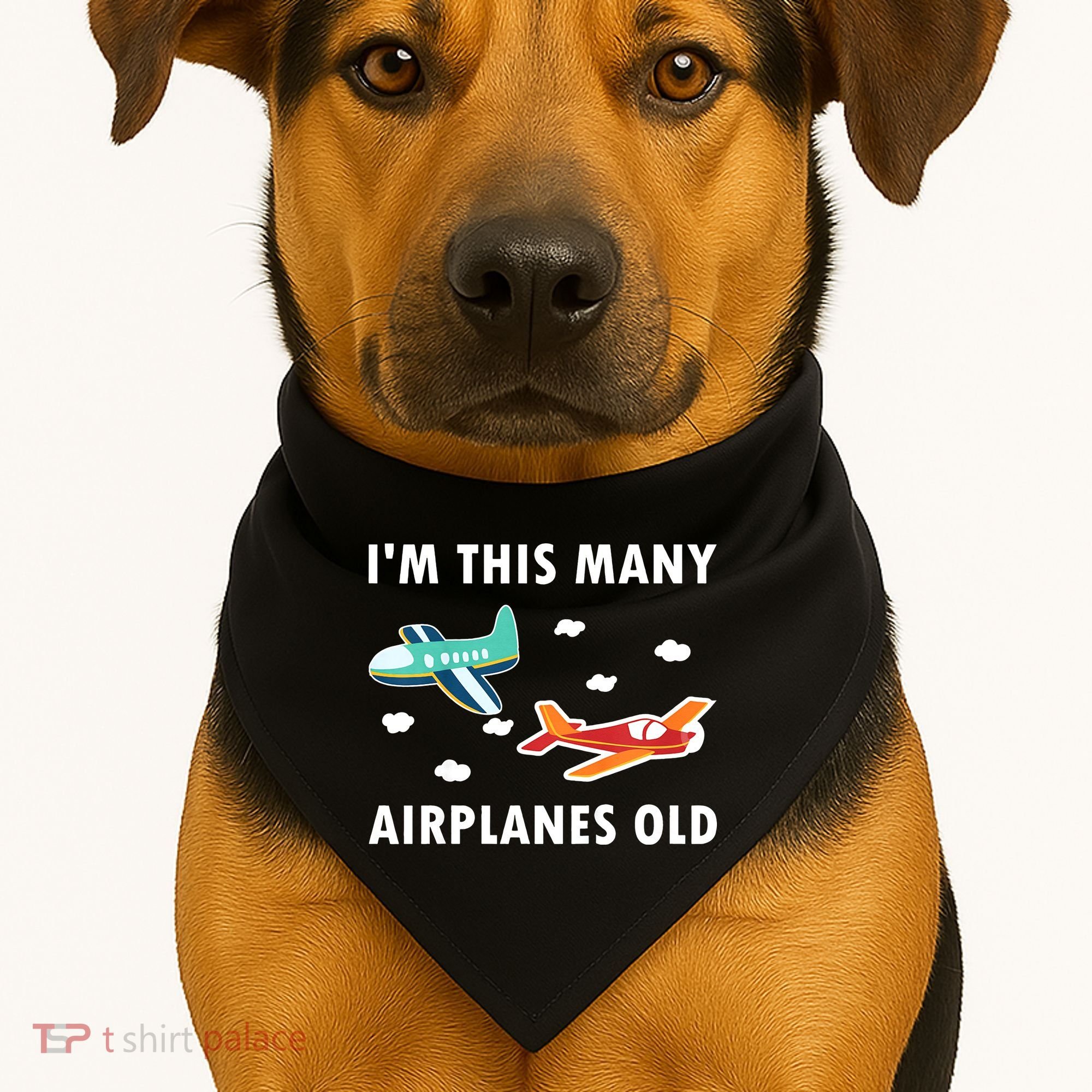 2 Years Old Airplanes Old 2nd Birthday USA-Made Doggie Bandana