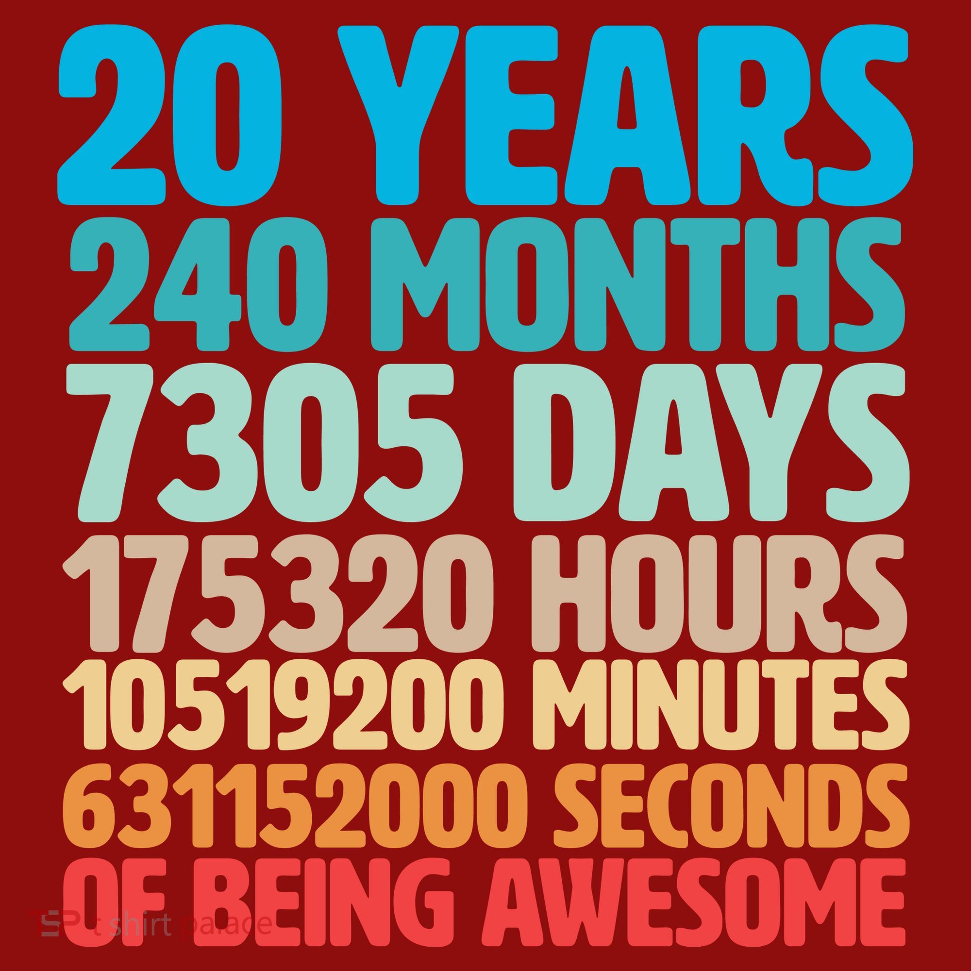 20 Years Of Being Awesome 20th Birthday Time Breakdown Long Sleeve Shirt