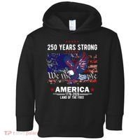 250 Years Strong 4th Of July American 250th Anniversary Toddler Hoodie thumb 0