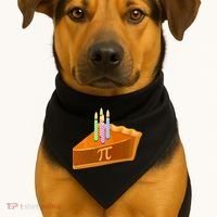 3.14 Happy Pi Day March 14 Birthday Slice Of Pie USA-Made Doggie Bandana thumb 1