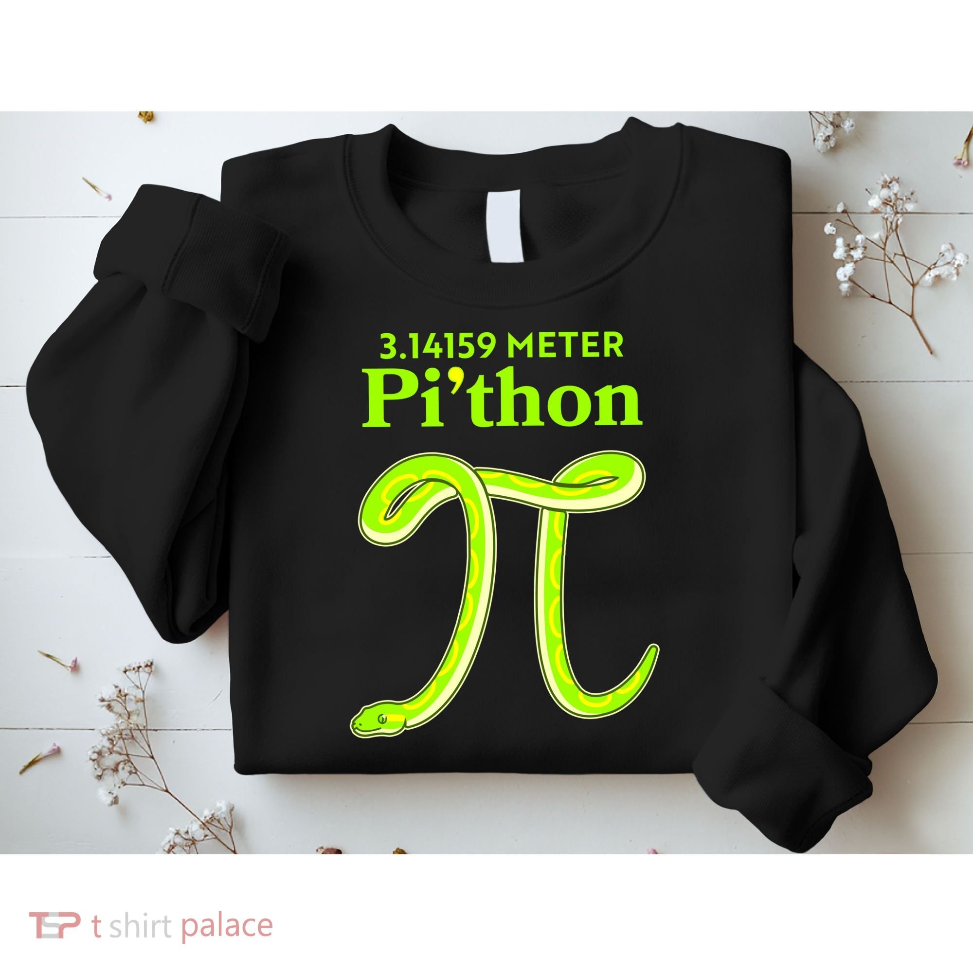 3.14 Meter Pi'thon Python Snake Pi Day March 14 Sweatshirt