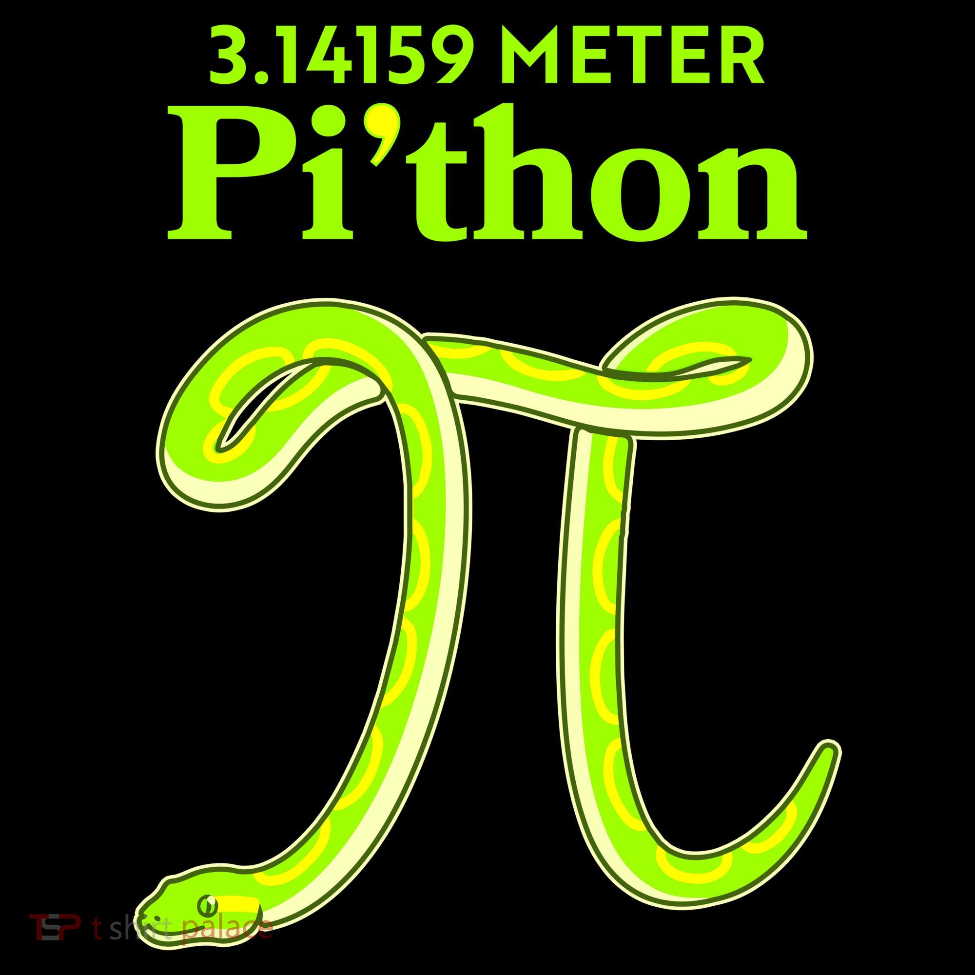 3.14 Meter Pi'thon Python Snake Pi Day March 14 T-Shirt