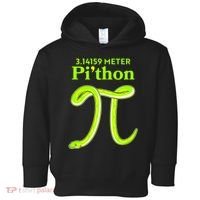 3.14 Meter Pi'thon Python Snake Pi Day March 14 Toddler Hoodie thumb 0