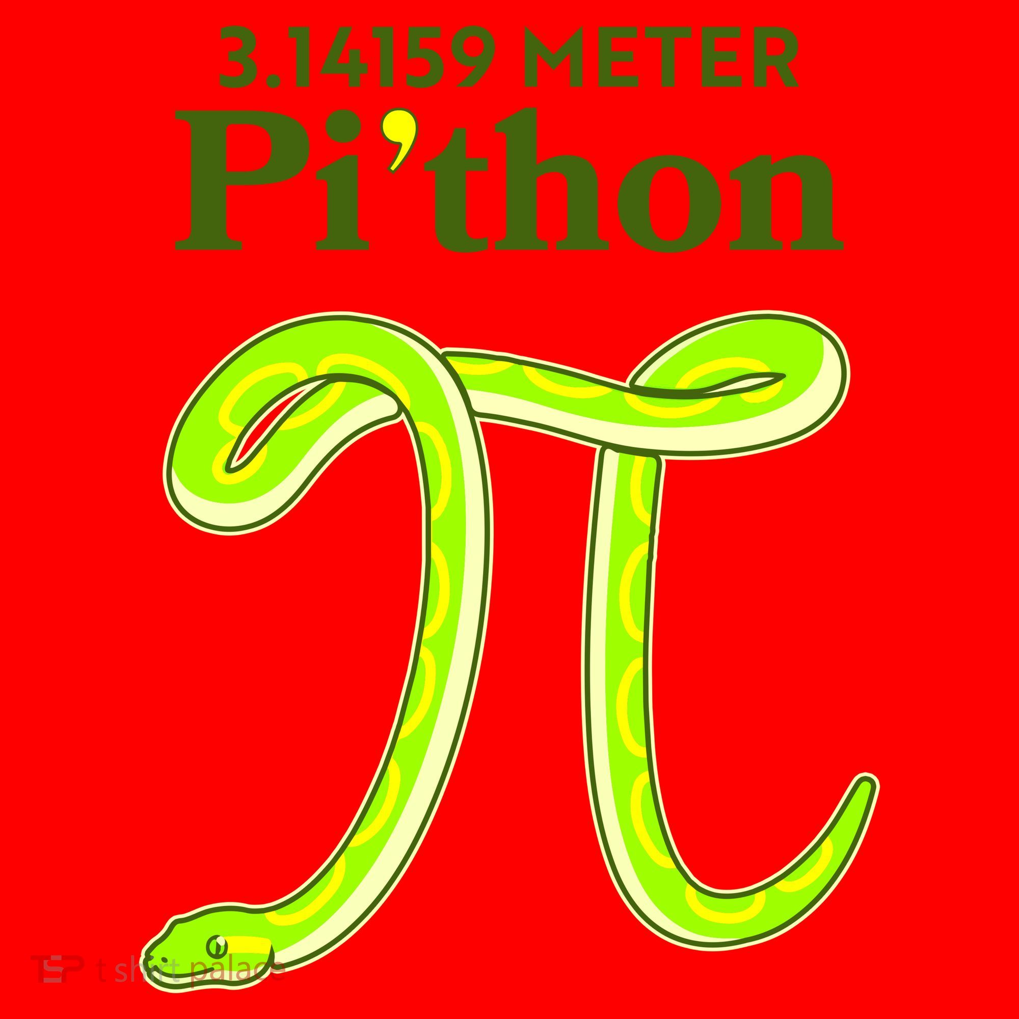 3.14 Meter Pi'thon Python Snake Pi Day March 14 Santa Hat