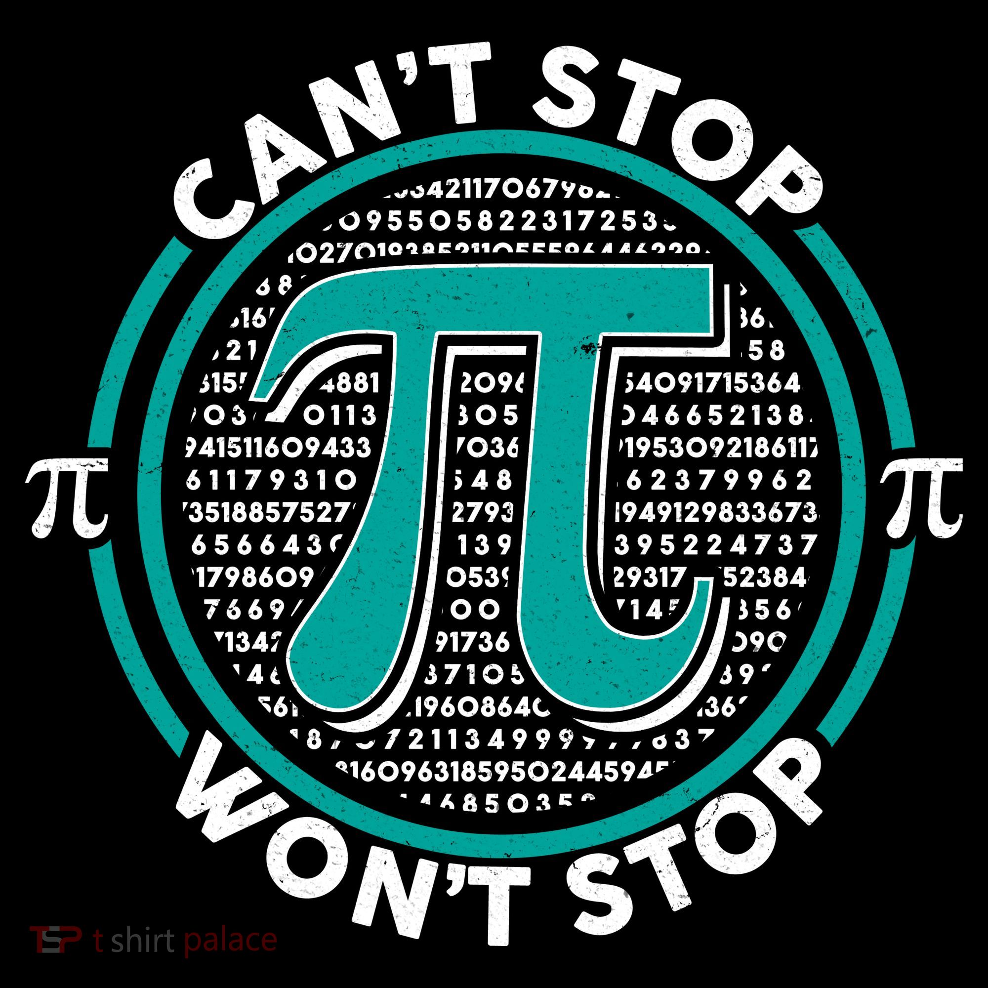 3.14 Pi Day Can't Stop Pi Won't Stop Ornament