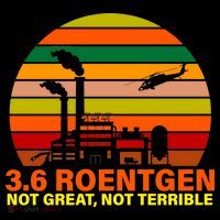 3.6 Roentgen Not Great, Not Terrible Women's Long Sleeve Shirt thumb 2