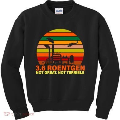 3.6 Roentgen Not Great, Not Terrible Kids Sweatshirt