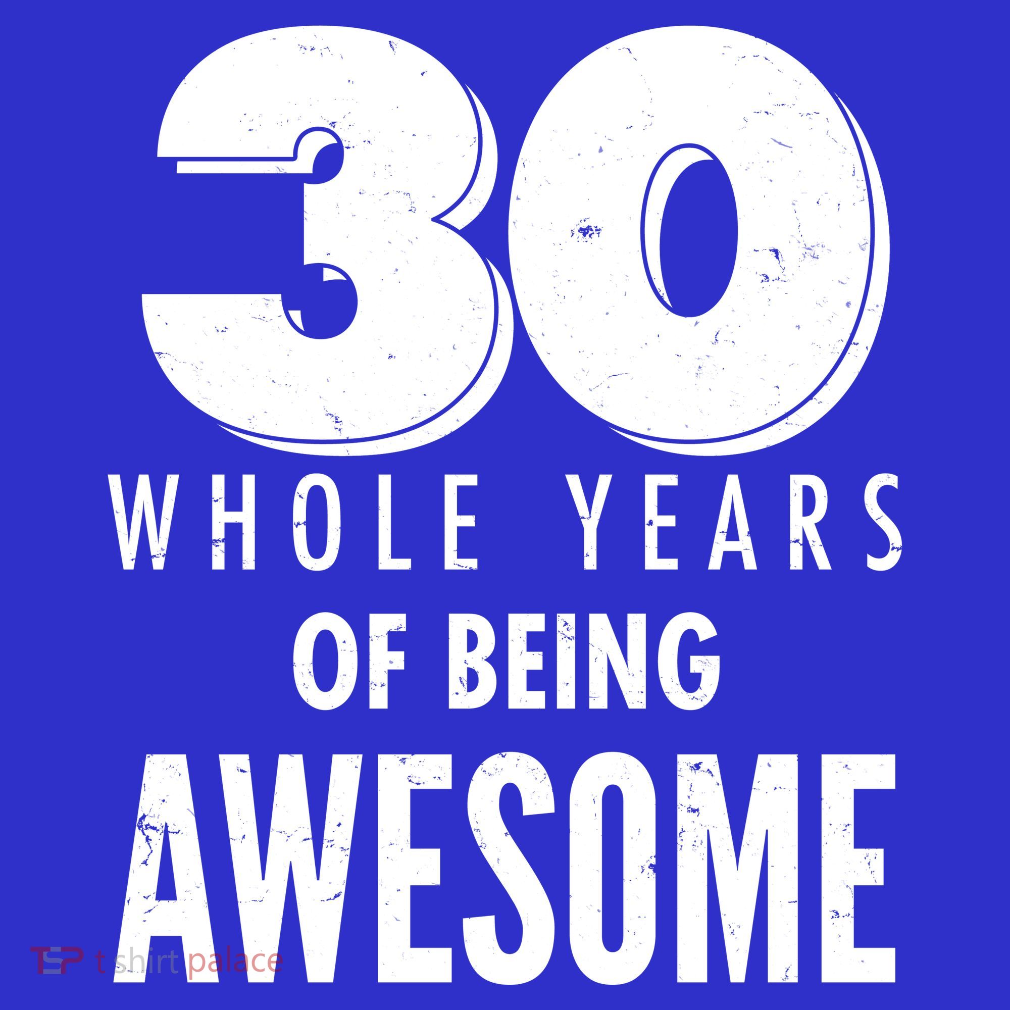 30 Whole Years Of Being Awesome Birthday Kids Sweatshirt