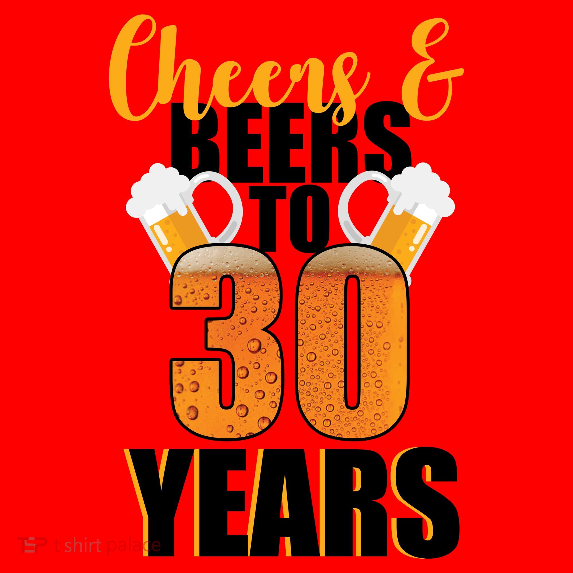 30th Birthday Cheers & Beers To 30 Years Santa Hat