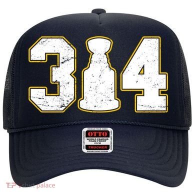 314 Hockey St. Louis Champions Hat