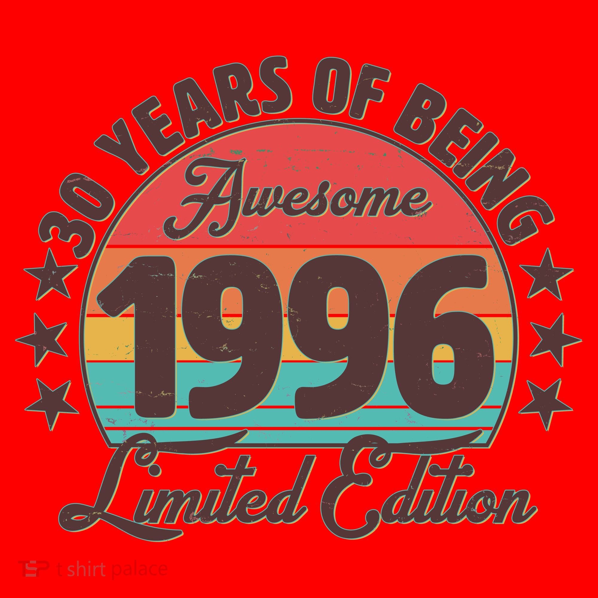30th Birthday 30 Years Of Being Awesome 1996 Limited Edition Santa Hat