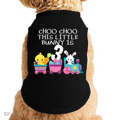 3rd Birthday 3 Easter Bunny 3 Year Old Train Outfit Doggie Tank