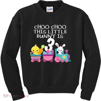 3rd Birthday 3 Easter Bunny 3 Year Old Train Outfit Kids Sweatshirt