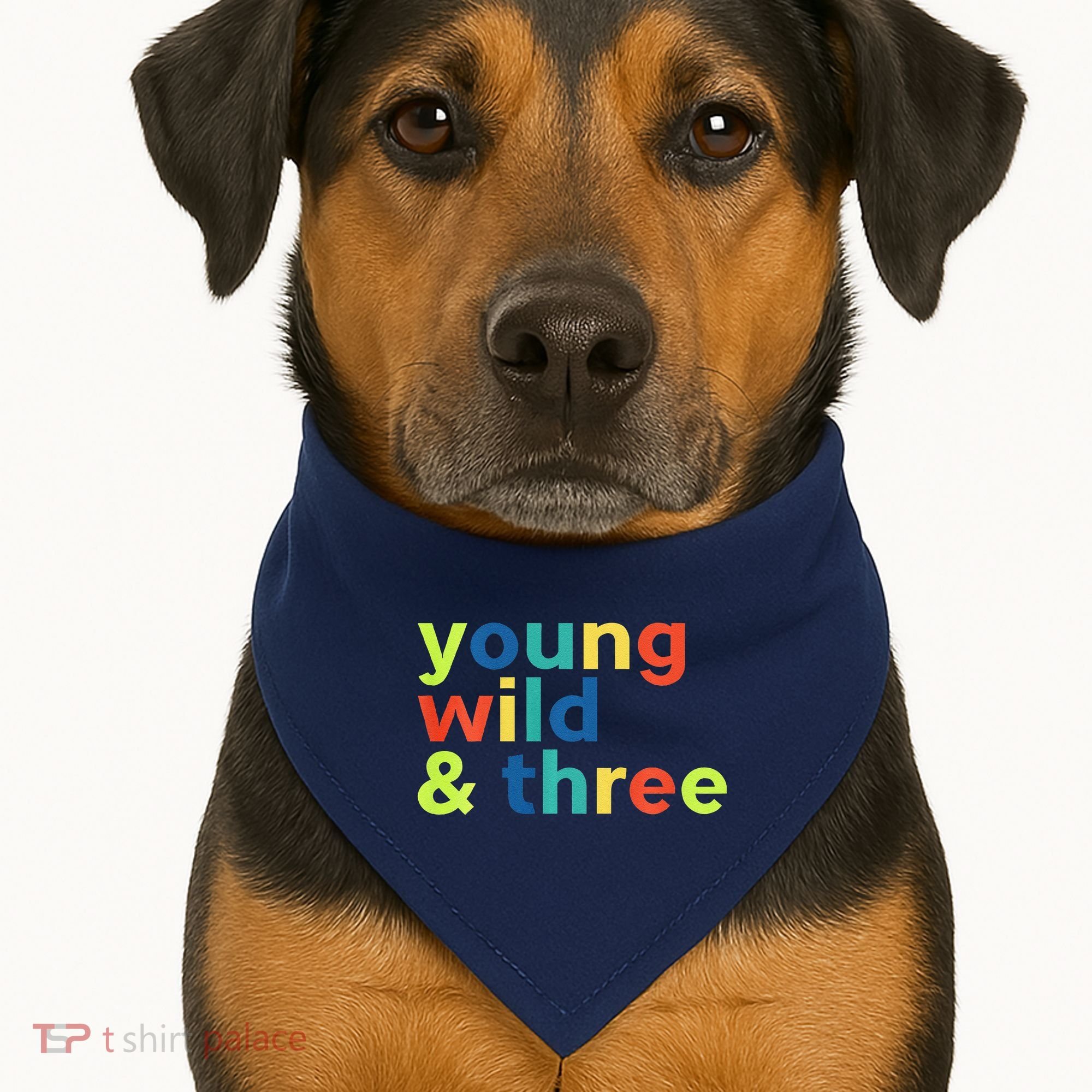 3rd Birthday Boy Funny Young Wild & Three USA-Made Doggie Bandana