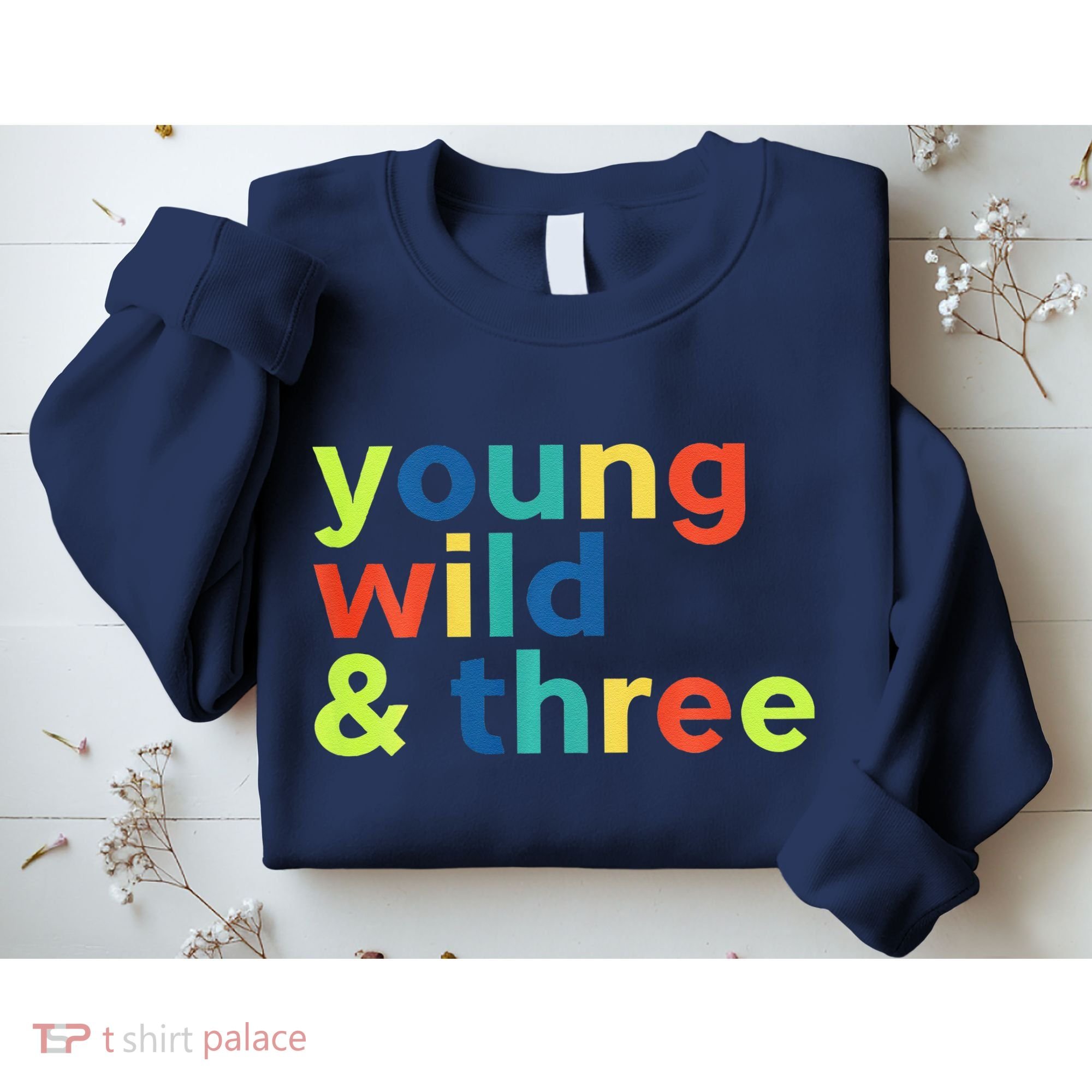 3rd Birthday Boy Funny Young Wild & Three Sweatshirt