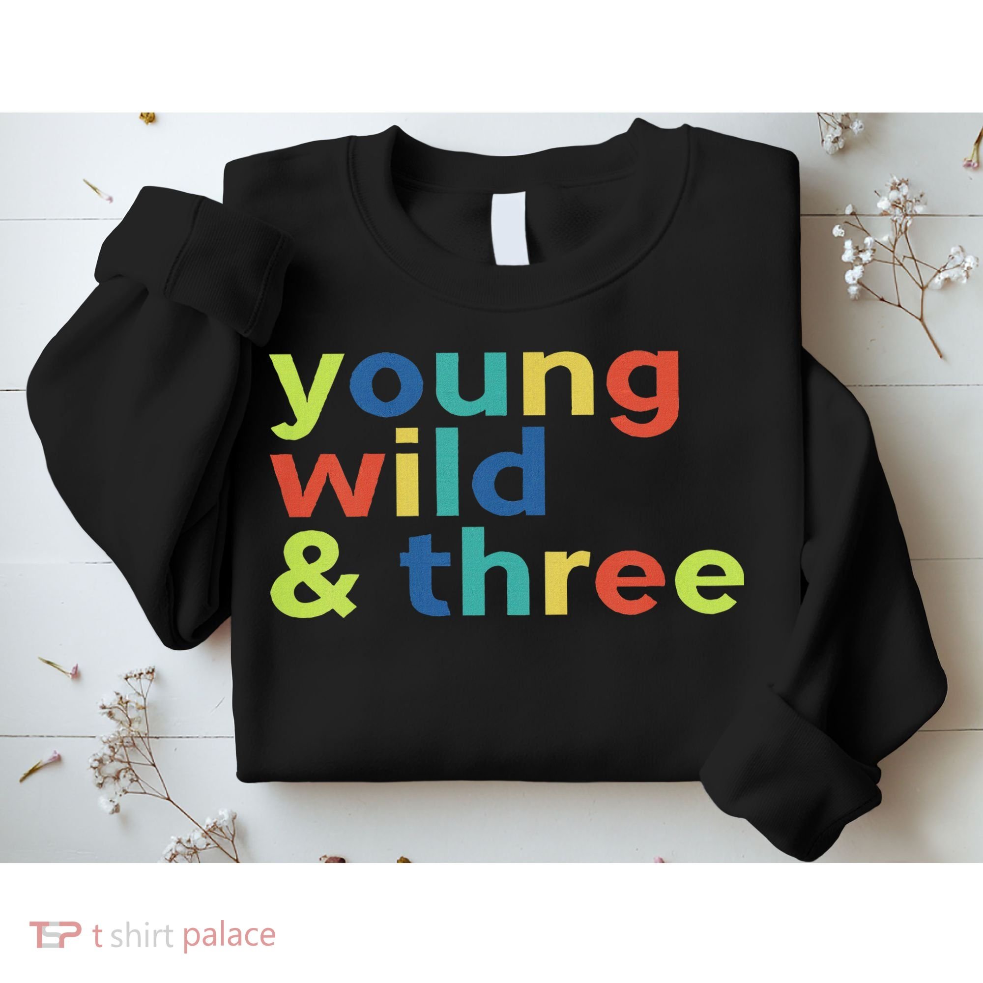 3rd Birthday Boy Funny Young Wild & Three Sweatshirt