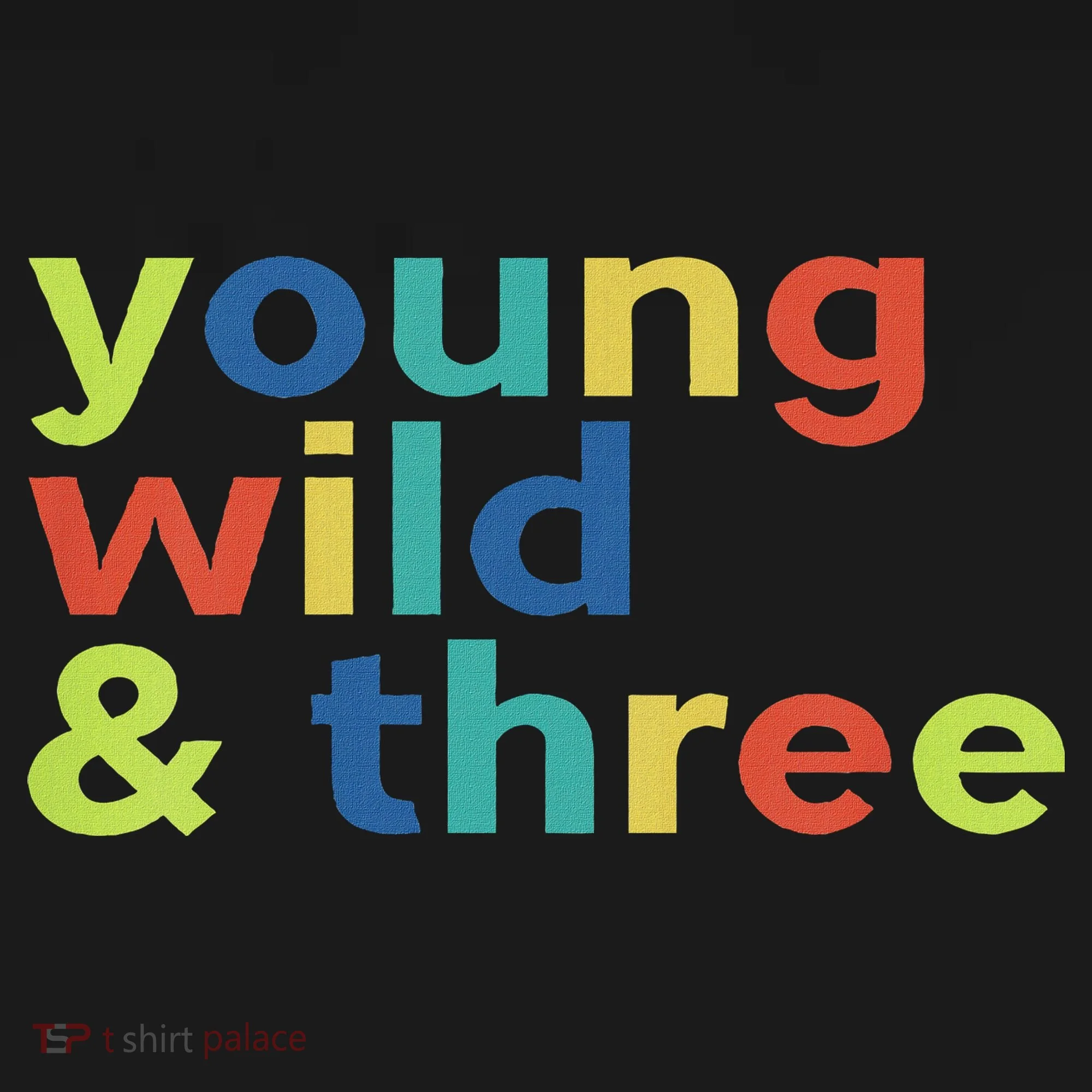 3rd Birthday Boy Funny Young Wild & Three Women's Hoodie