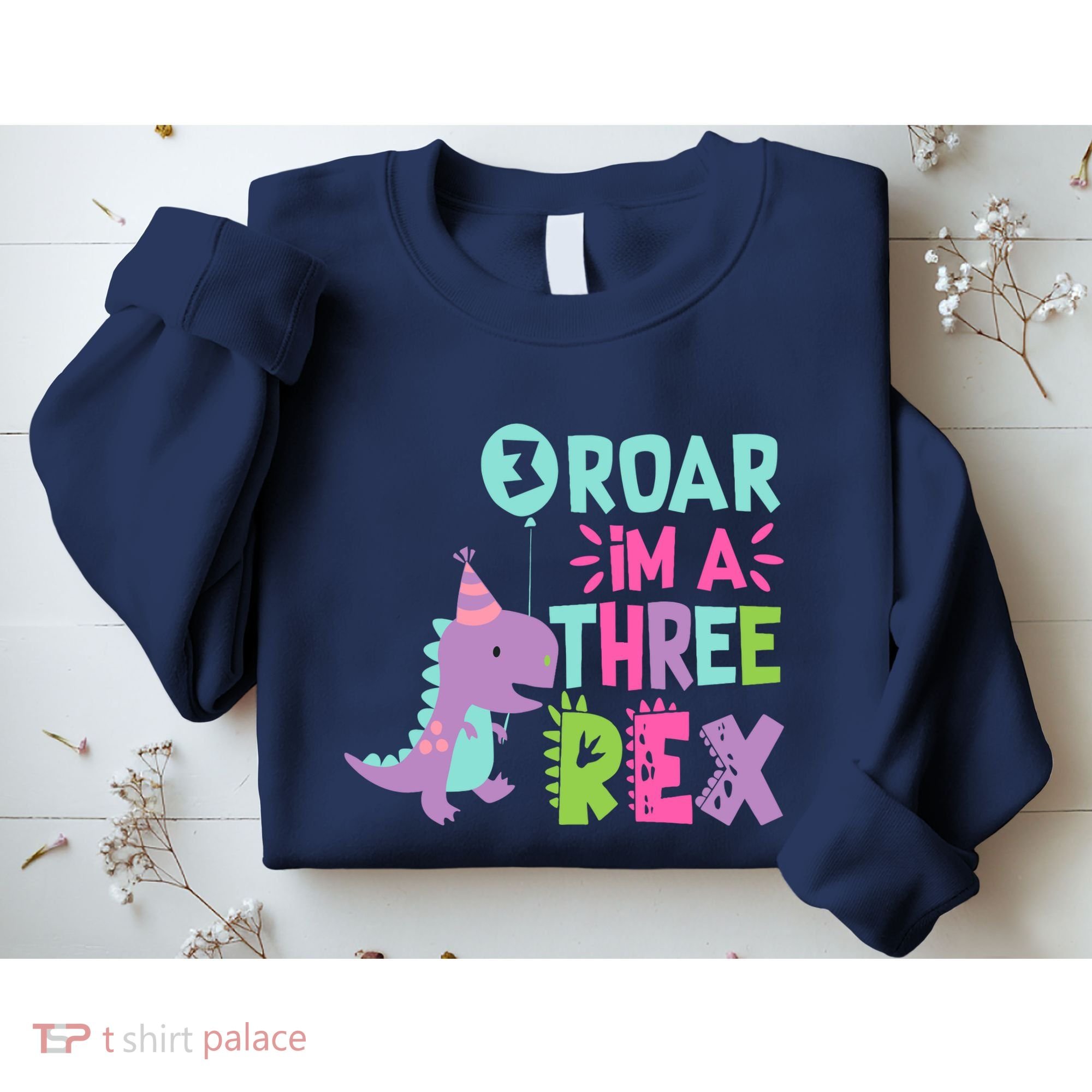 3rd Birthday Dinosaur Girl Trex Matching Family Party Three Sweatshirt