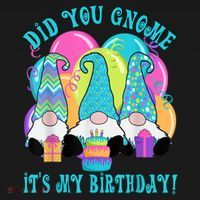 3 Birthday Gnomes Did You Gnome It's My Birthday Balloons T-Shirt thumb 7
