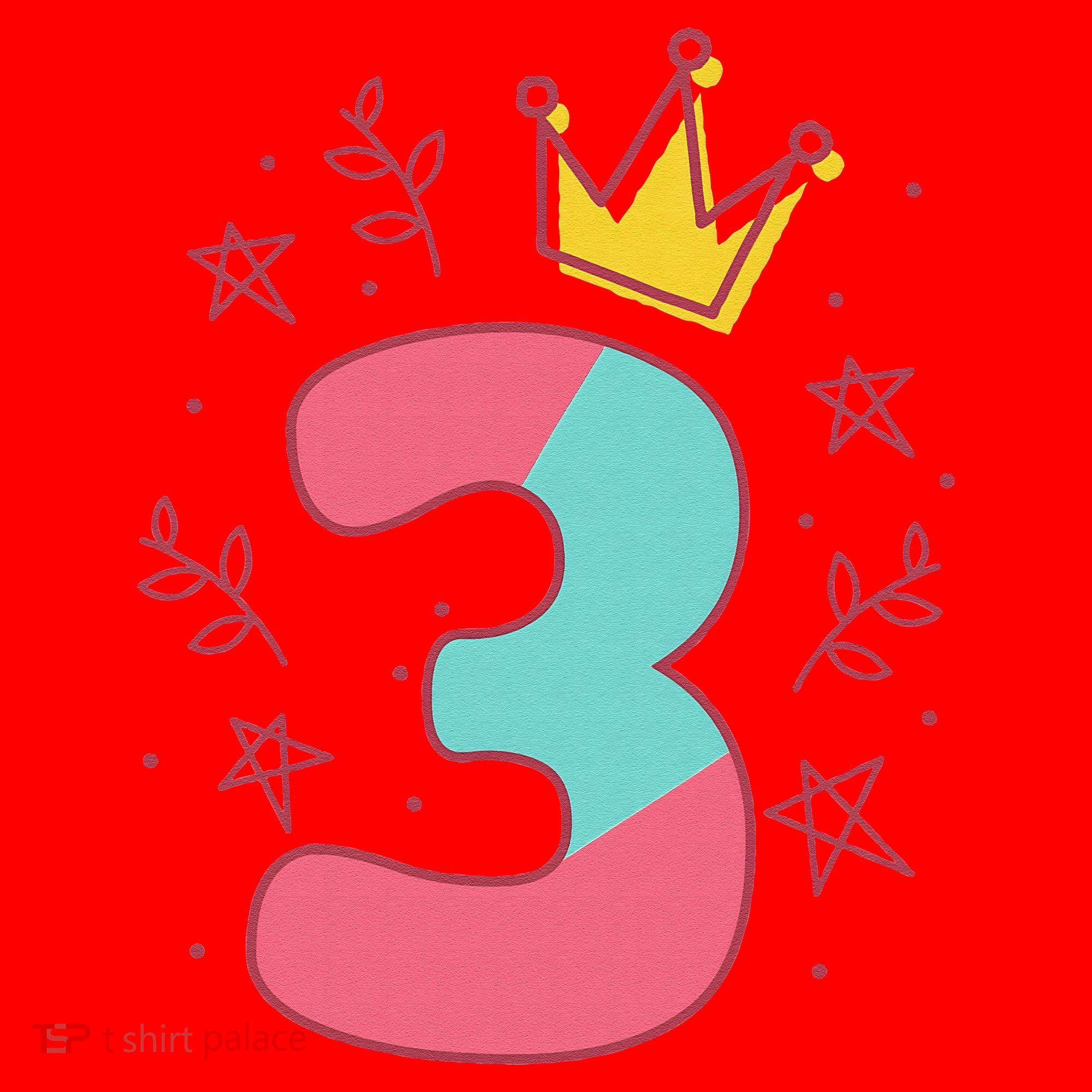 3rd Birthday Number 3 Santa Hat
