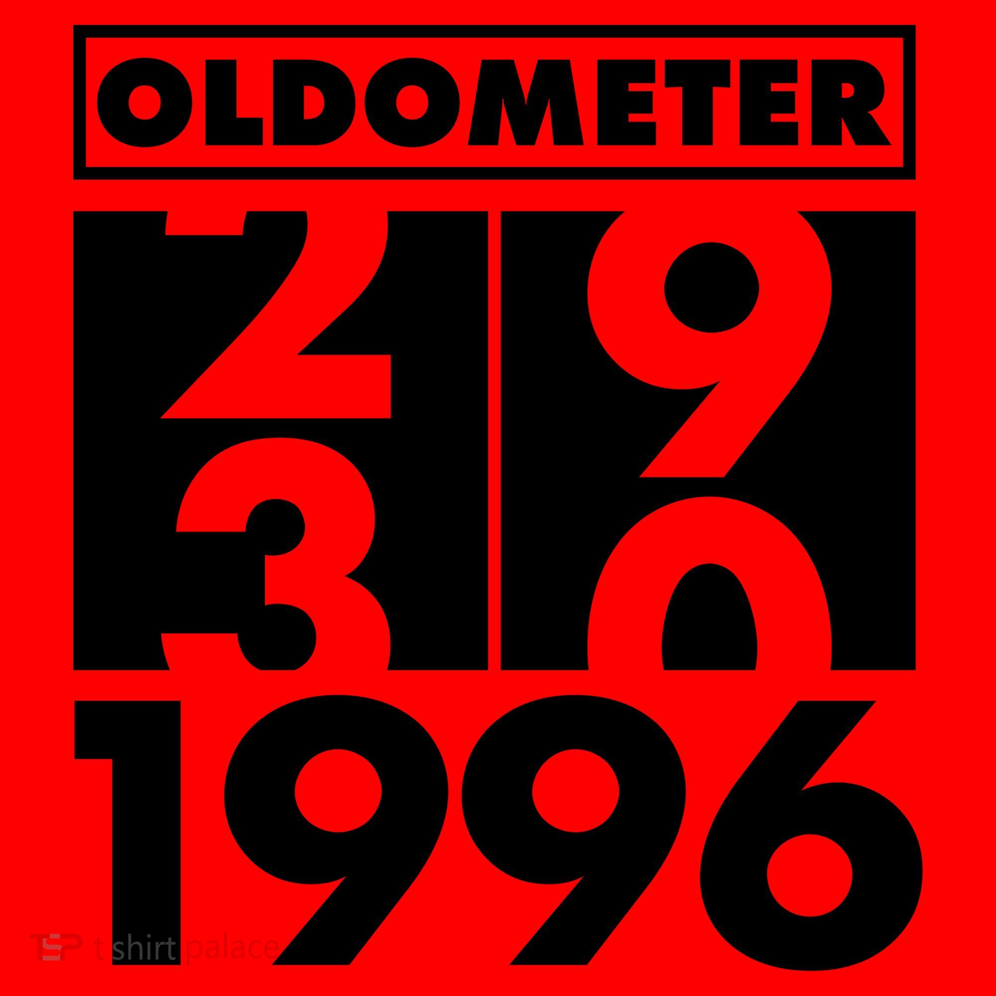 30th Birthday Oldometer 1996 Santa Hat