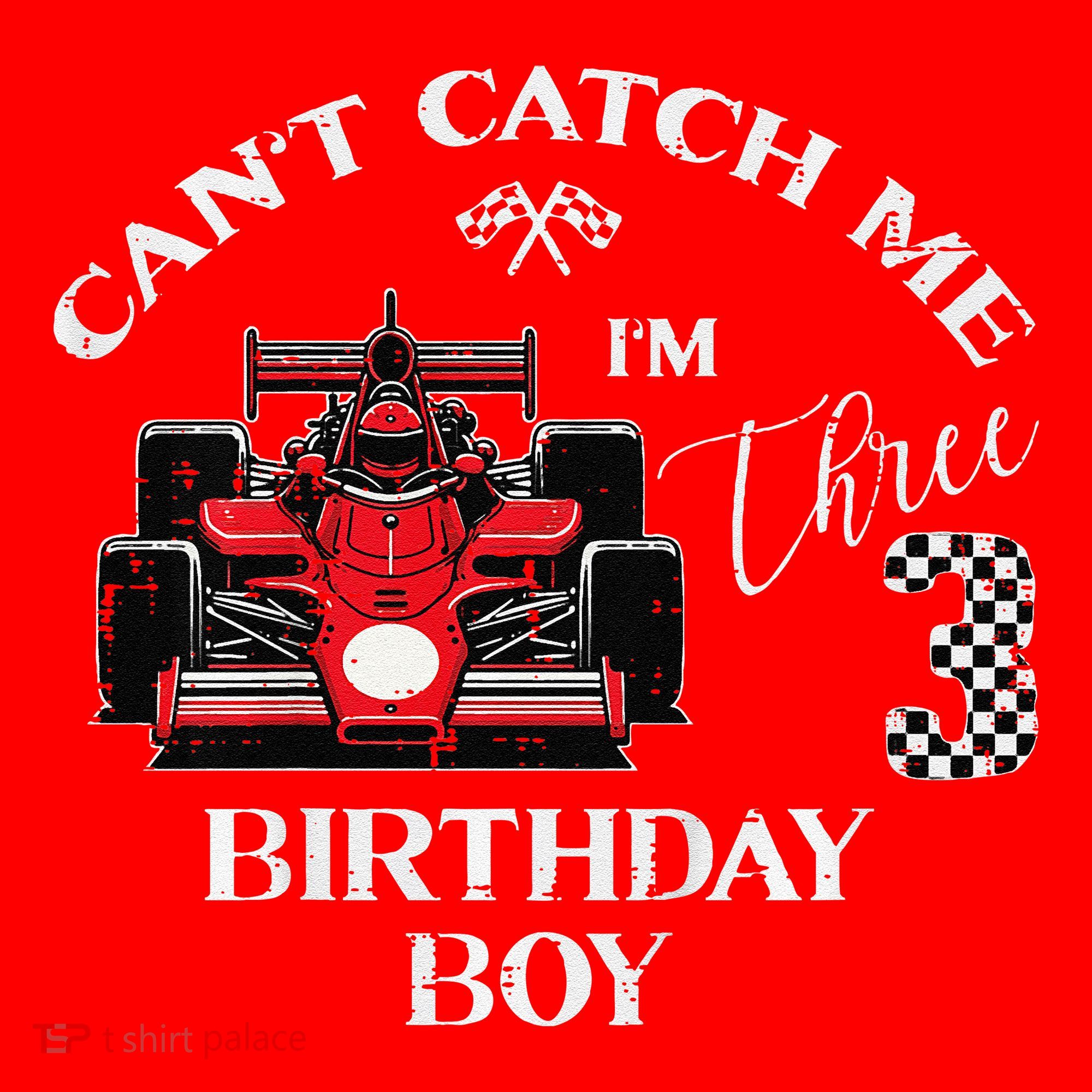3rd Birthday Race Car Bday Boy Cant Catch Me Im 3 Years Gift Santa Hat