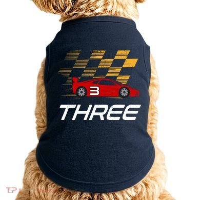 3rd Birthday Race Car Gift I Three Years Old Boy Doggie Tank