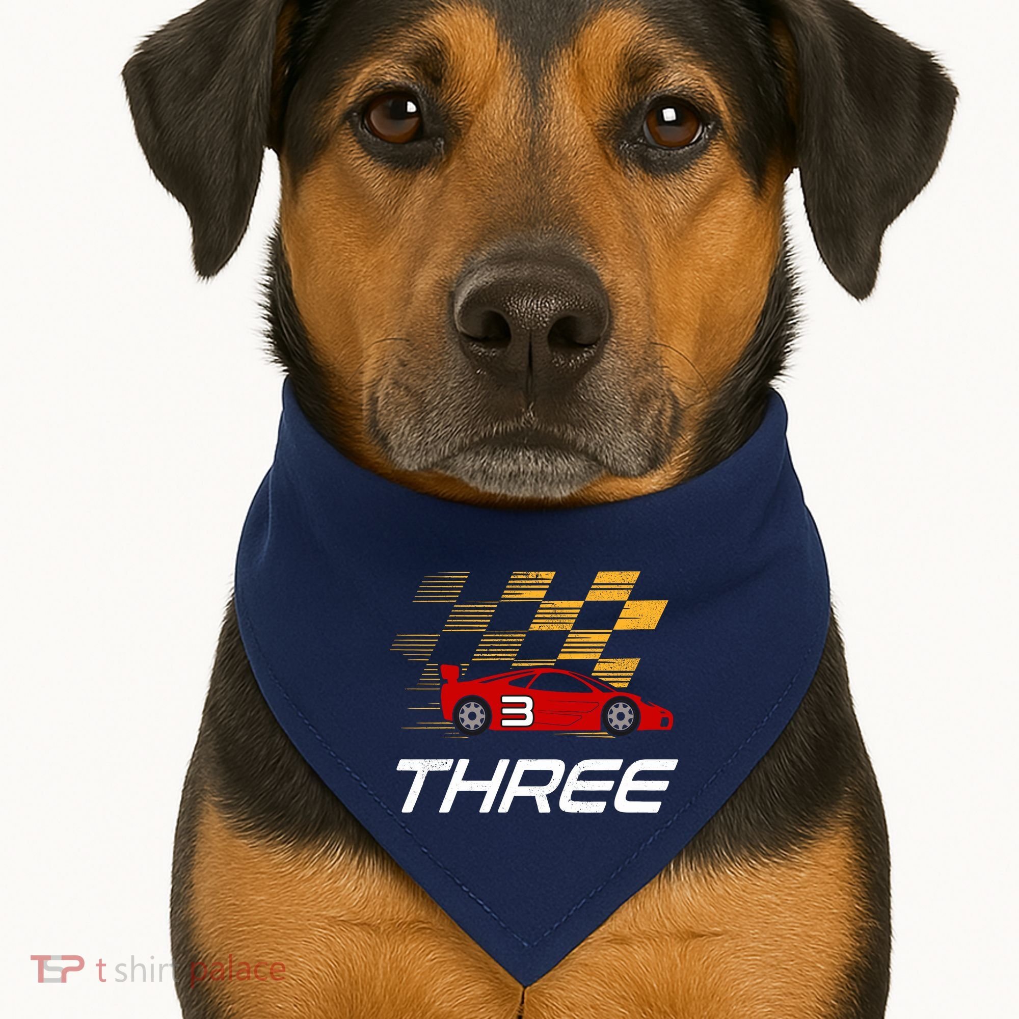 3rd Birthday Race Car Gift I Three Years Old Boy USA-Made Doggie Bandana
