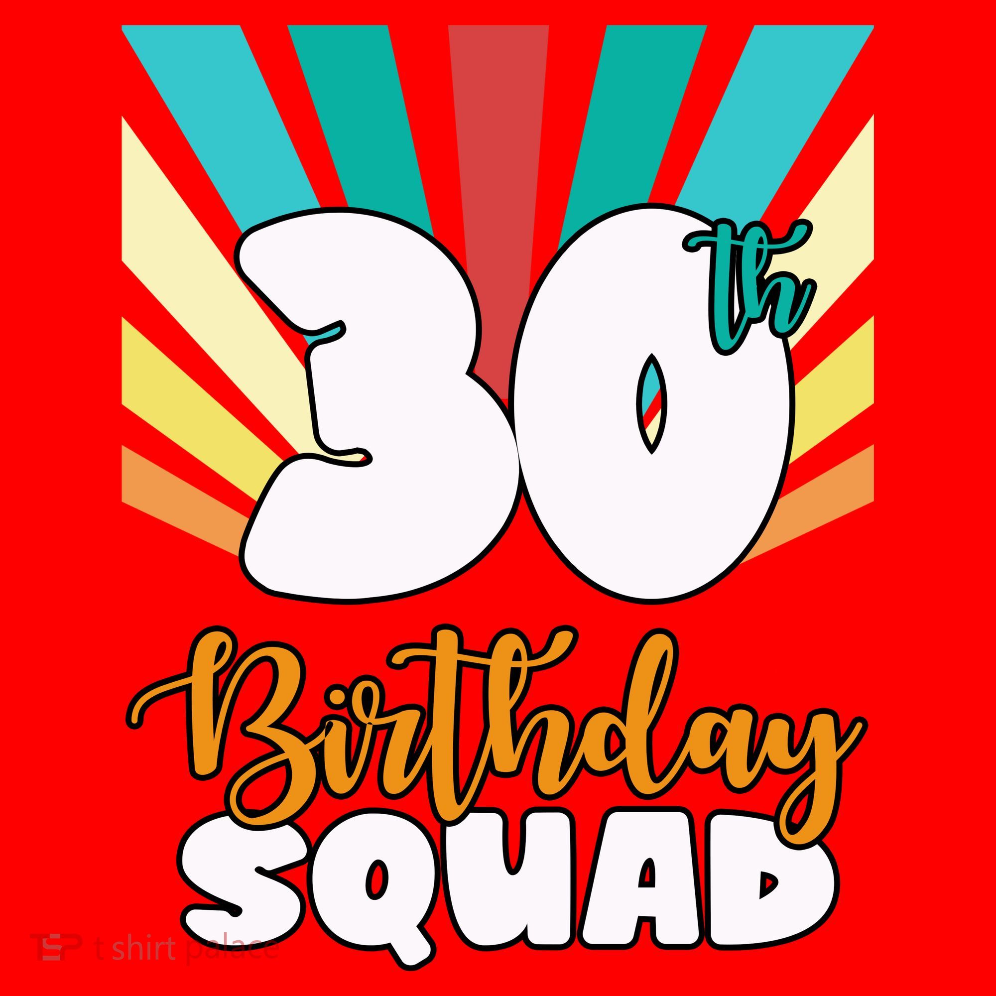 30th Birthday Squad 30 Years Old Santa Hat