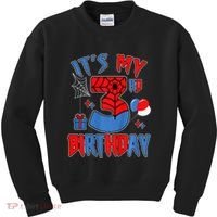 3rd Birthday Spider Web Theme Party Three 3 Year Bday Kids Sweatshirt thumb 0