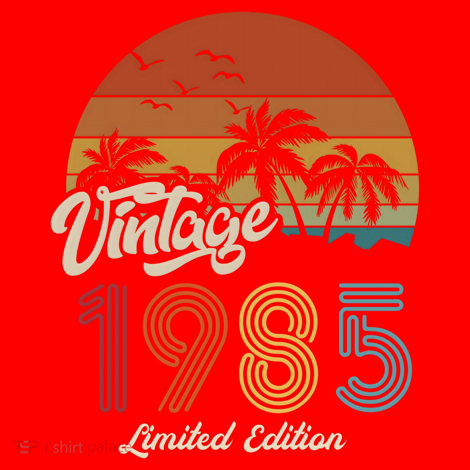 38th Birthday Vintage Limited Edition 1985 T-Shirt