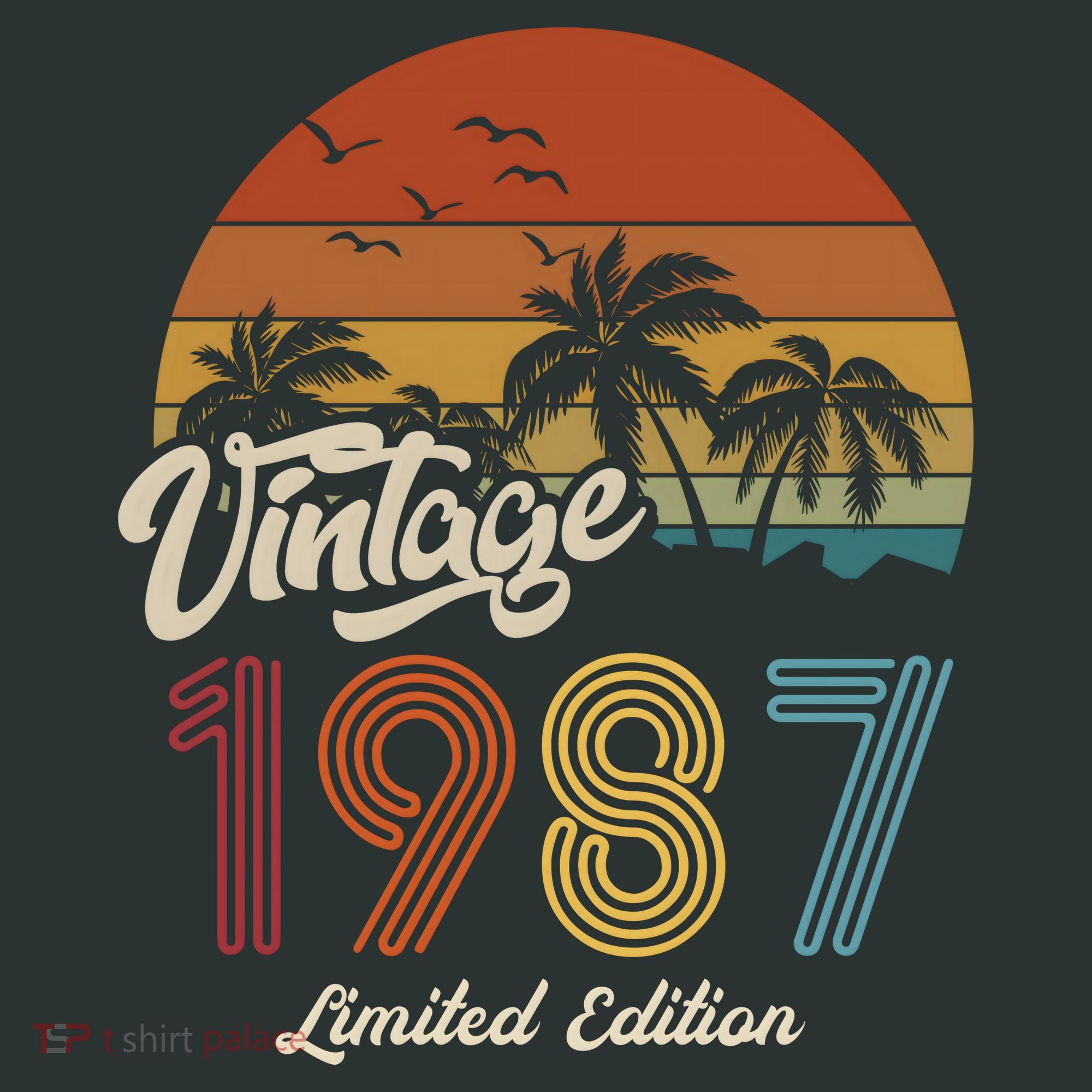 36th Birthday Vintage Limited Edition 1987 T-Shirt