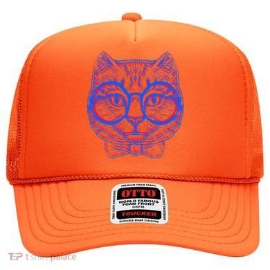 3D Trippy Cat Hat