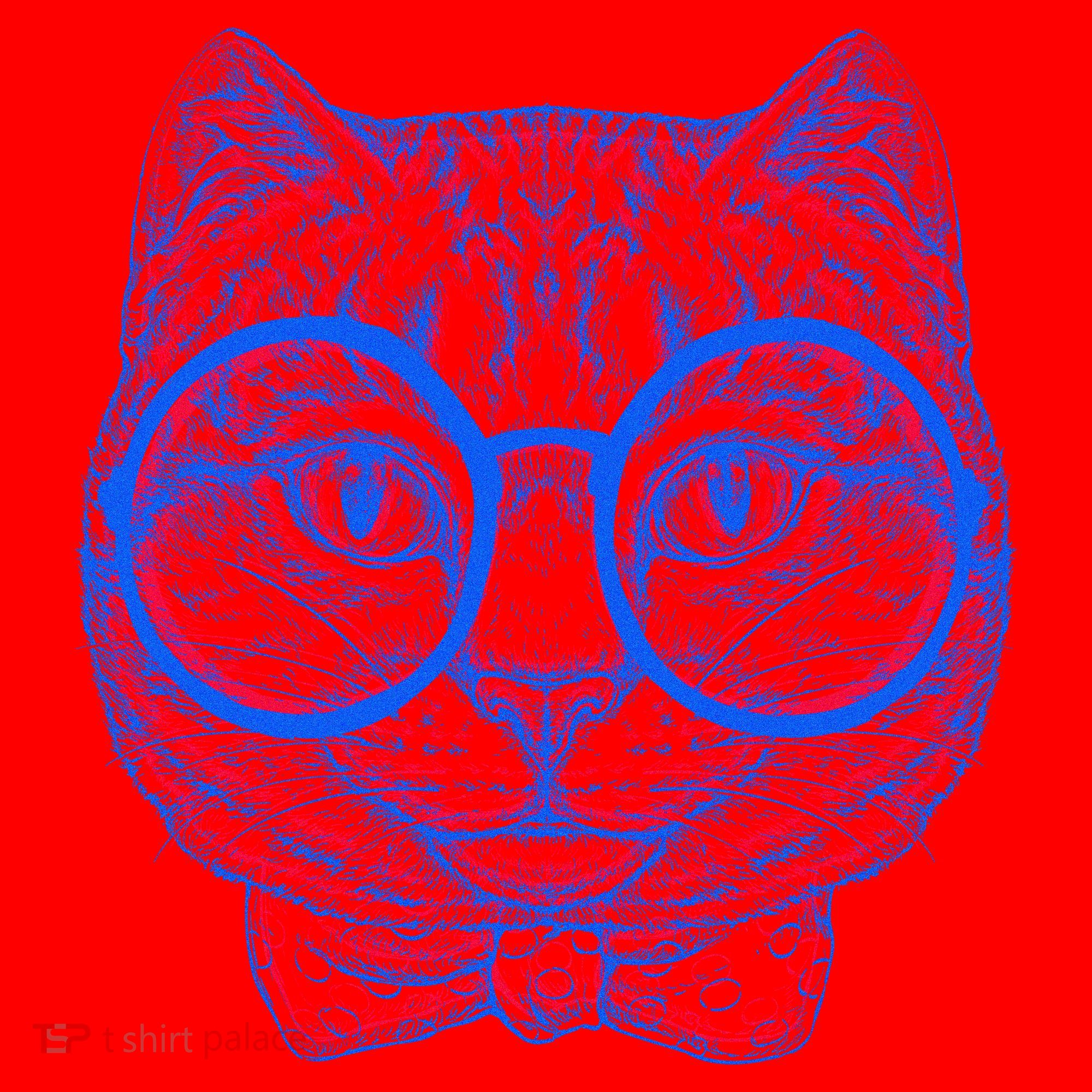 3D Trippy Cat Santa Hat
