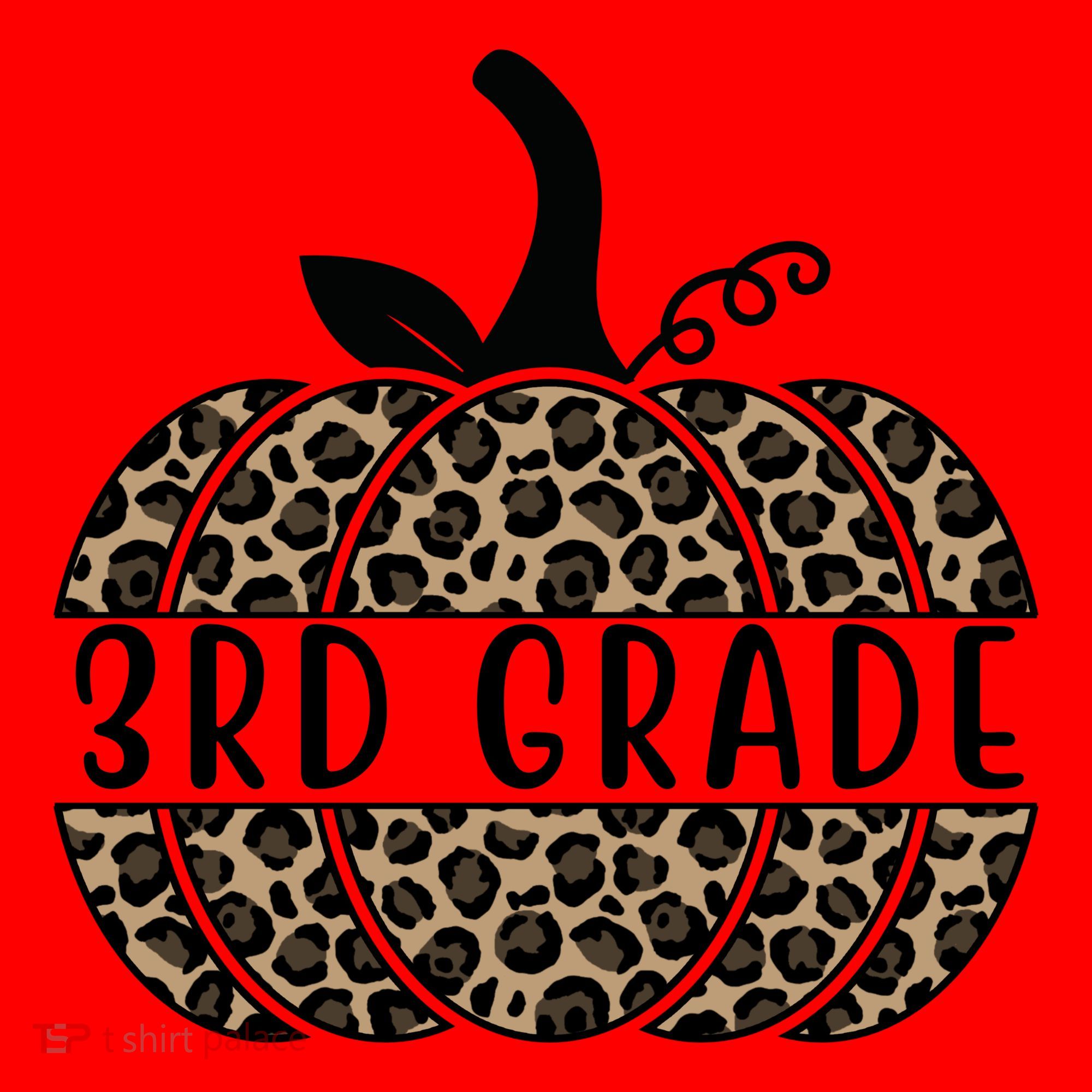 3rd Grade Leopard Pumpkin Santa Hat