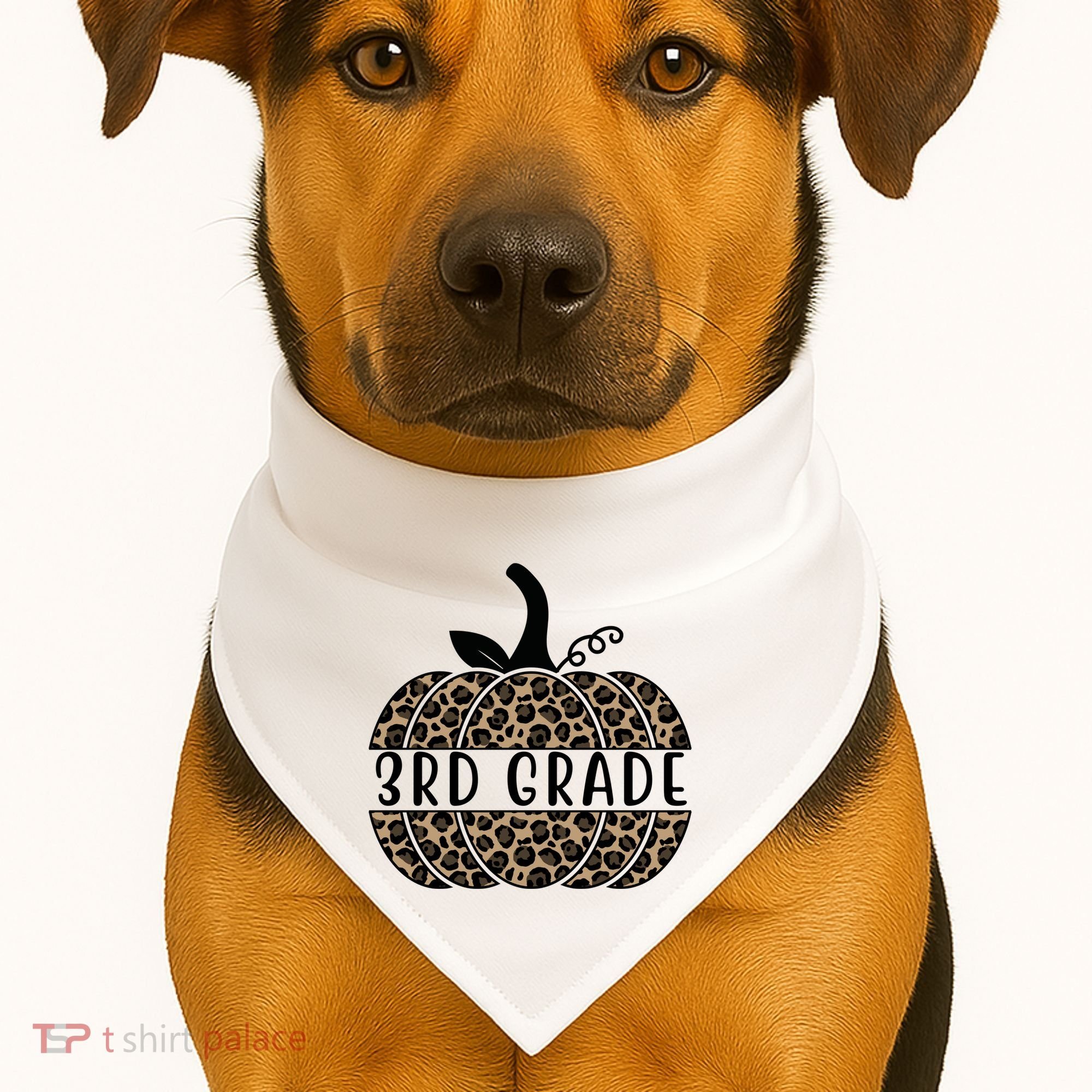 3rd Grade Leopard Pumpkin USA-Made Doggie Bandana