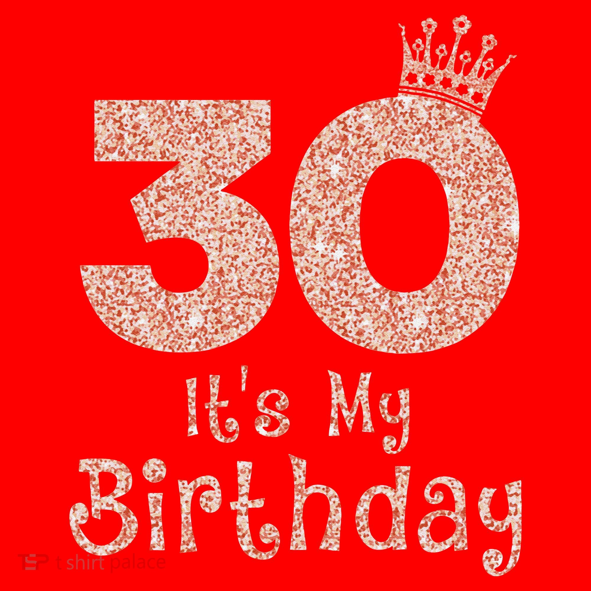 30 ItS My Birthday 30 Years Old Happy 30th Birthday Santa Hat
