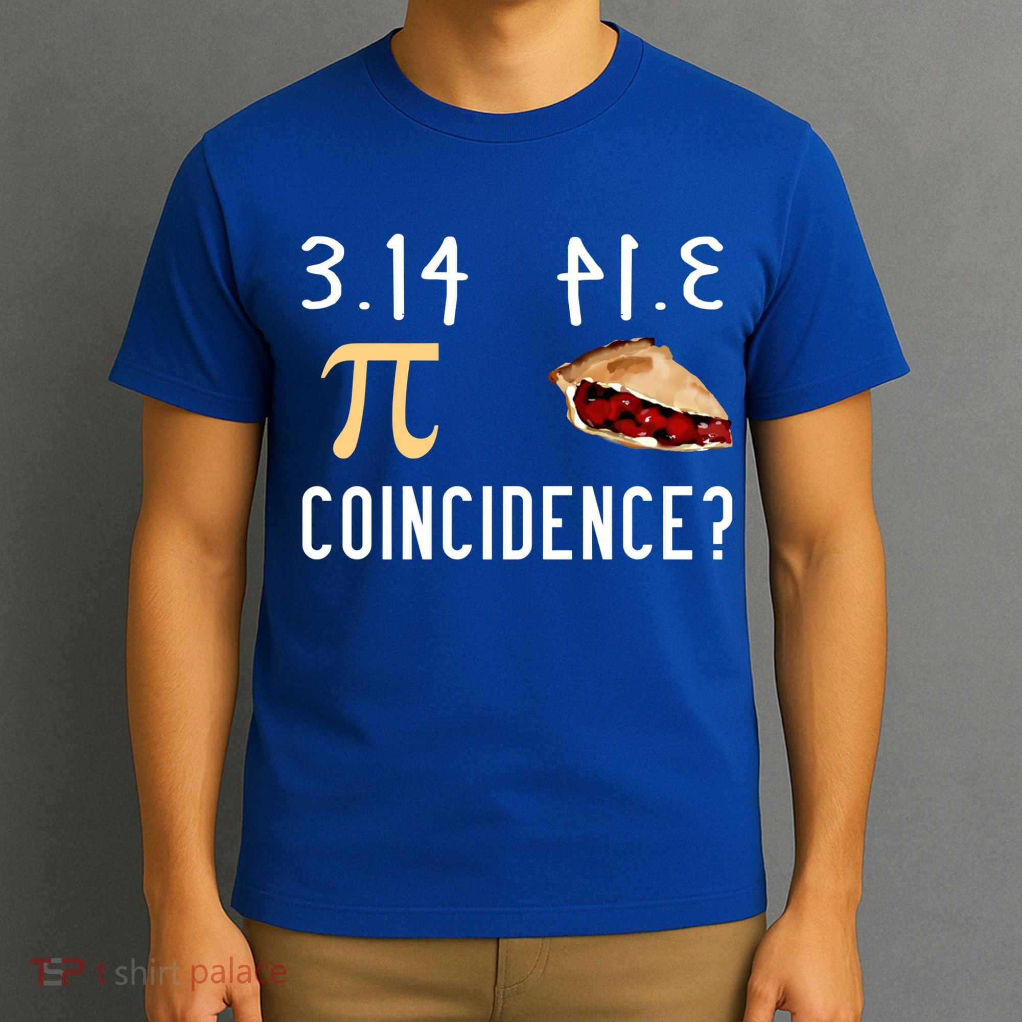 314 Pie Funny Pi Day Gift T-Shirt