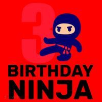 3rd Birthday Ninja  Santa Hat thumb 1