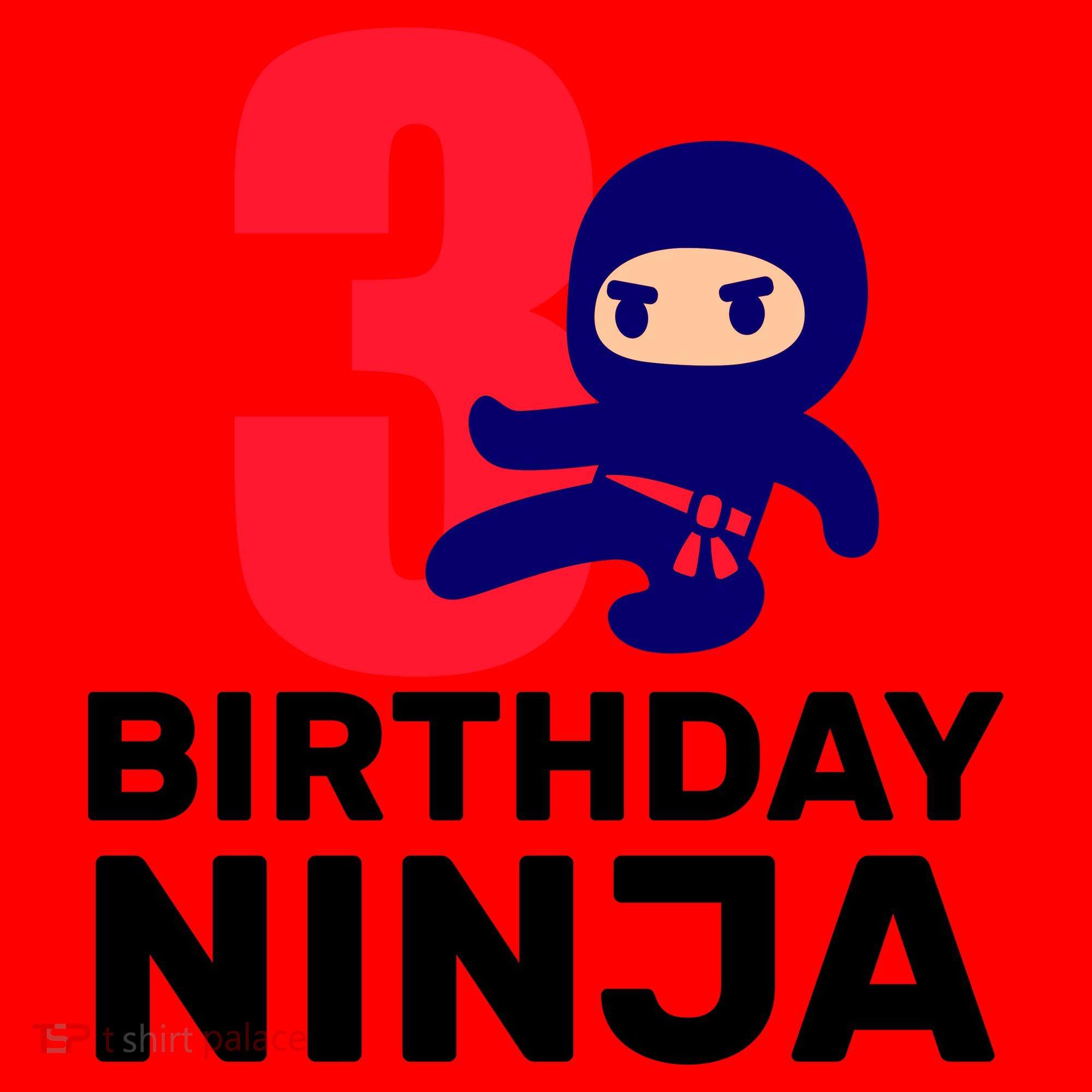 3rd Birthday Ninja  Santa Hat