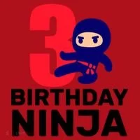 3rd Birthday Ninja  Christmas Stocking thumb 1