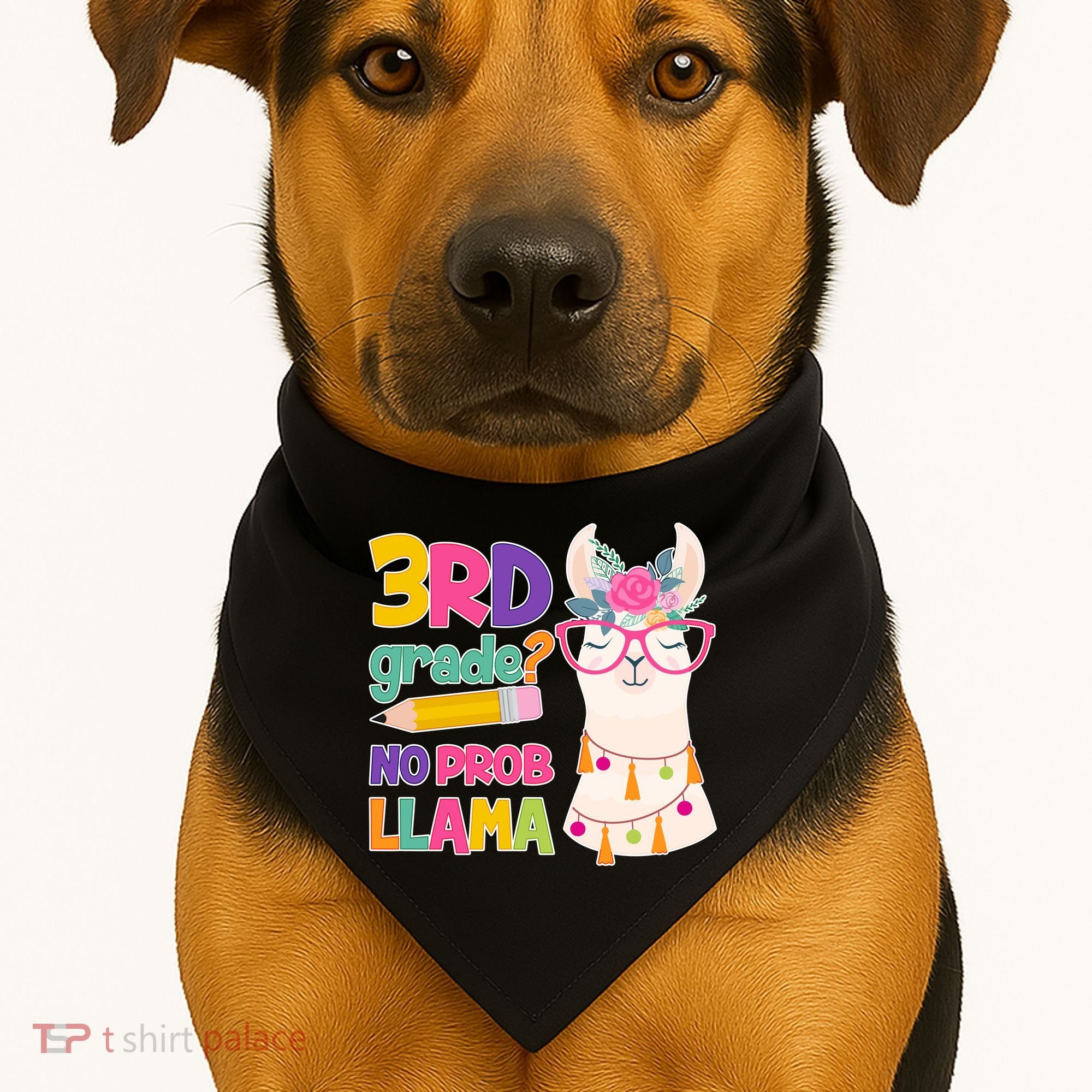 3rd Grade? No Prob Llama USA-Made Doggie Bandana