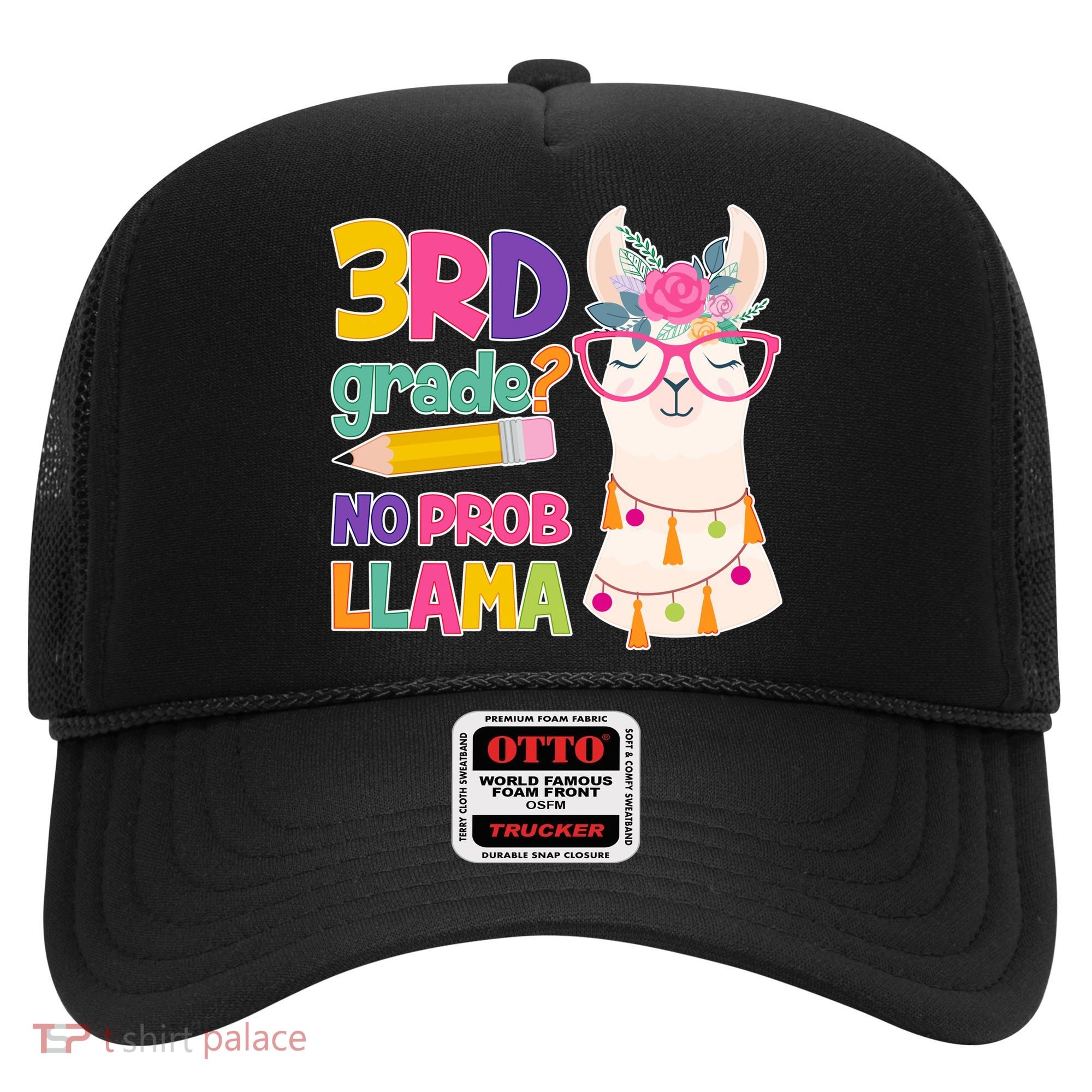 3rd Grade? No Prob Llama Hat